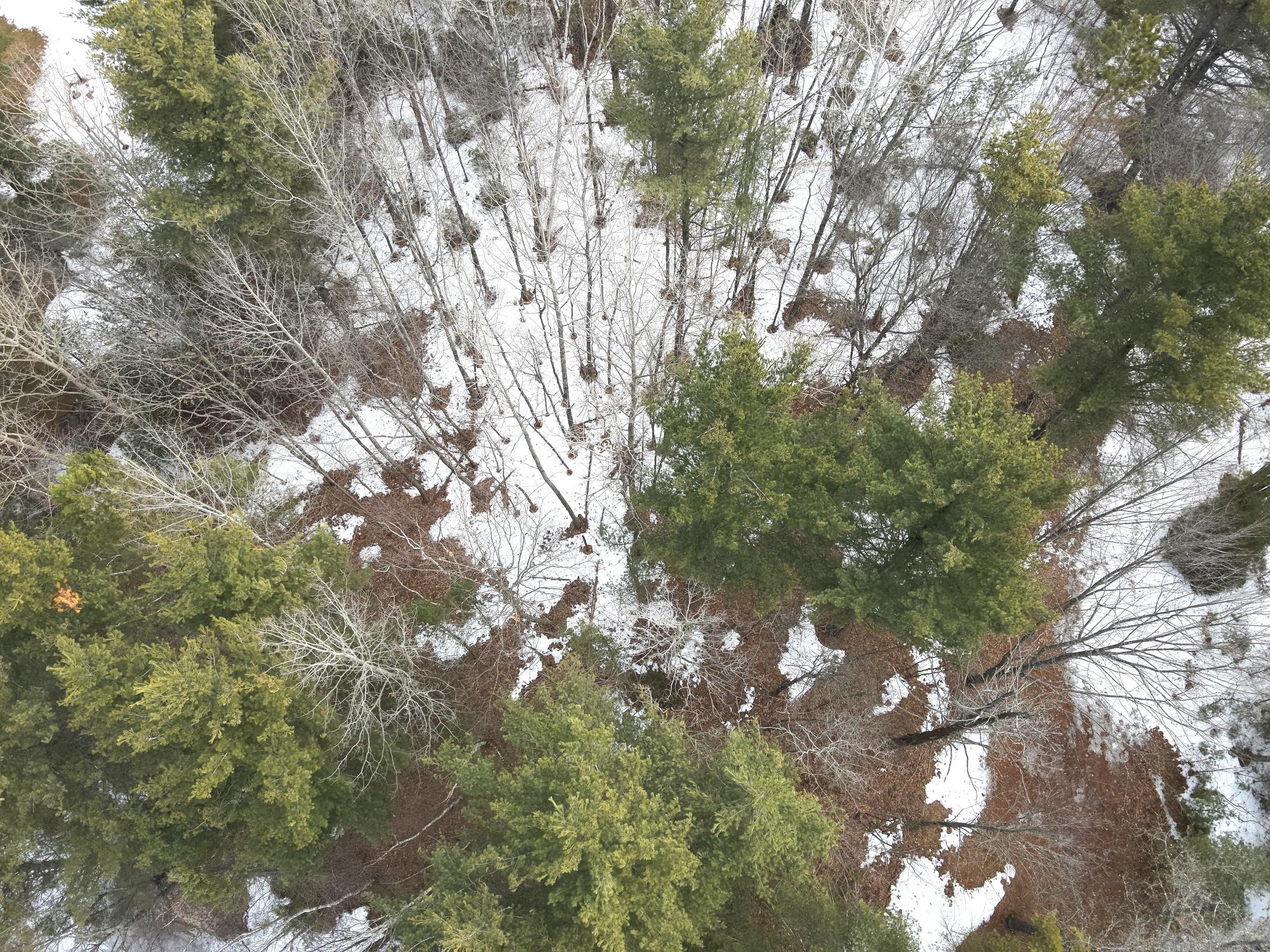 Sumach Lake Property lot Propwash Bay Rd Photo 6