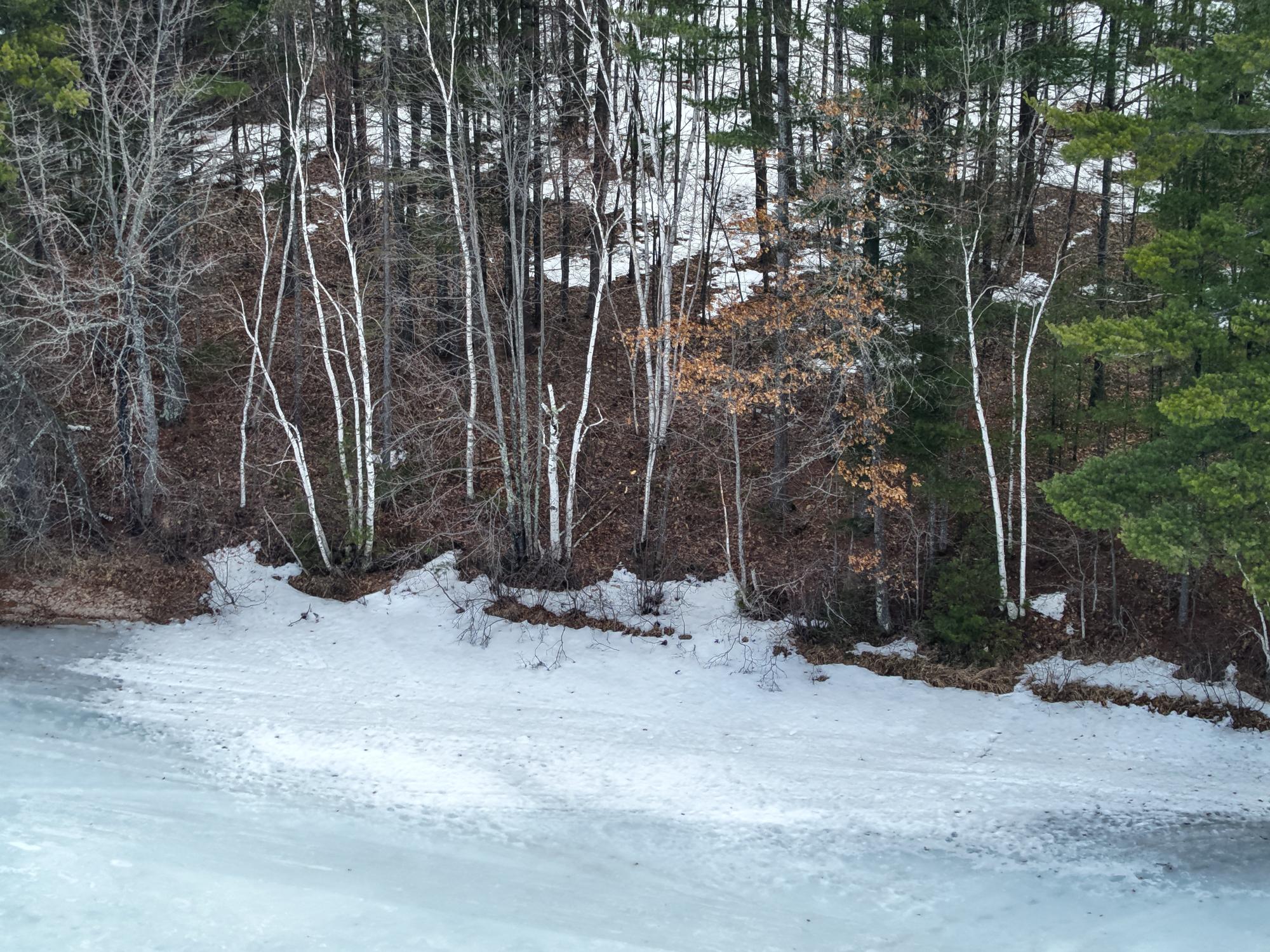 Sumach Lake Property lot Propwash Bay Rd Photo 8