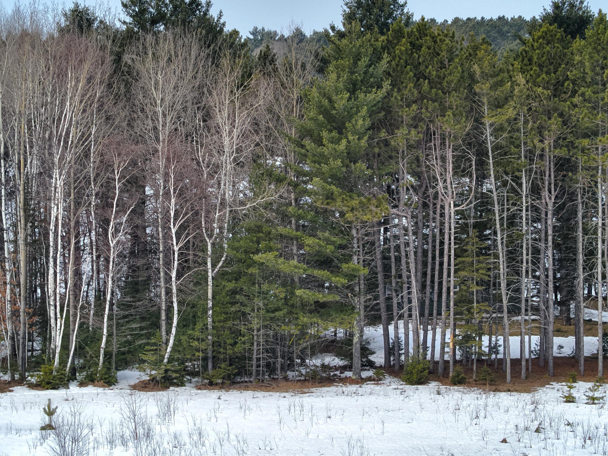 Sumach Lake Property lot Propwash Bay Rd Photo 9