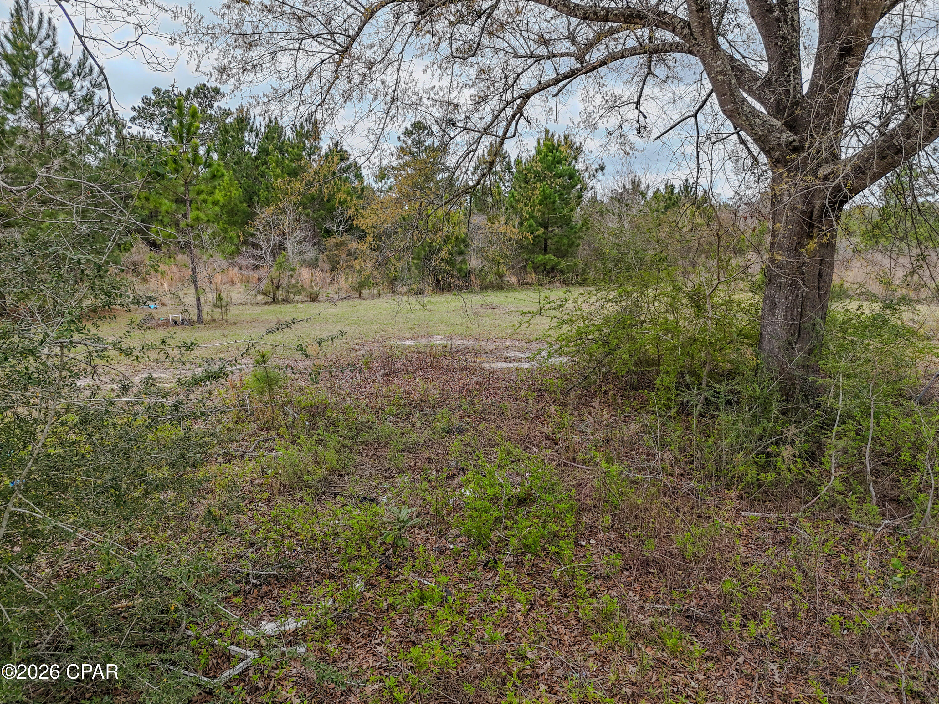 Image 33 For 12123 Harrington Road