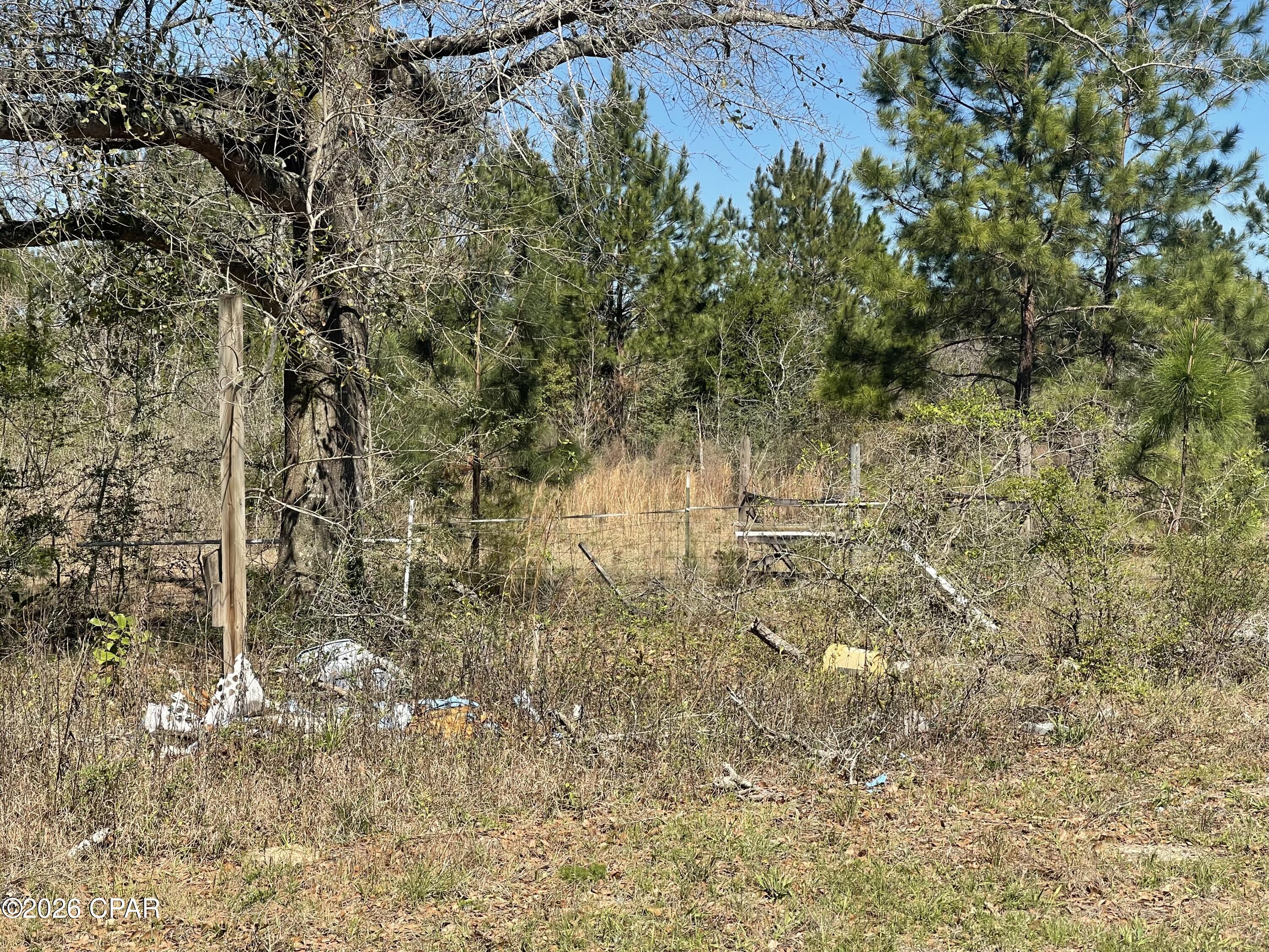 Image 5 For 12123 Harrington Road