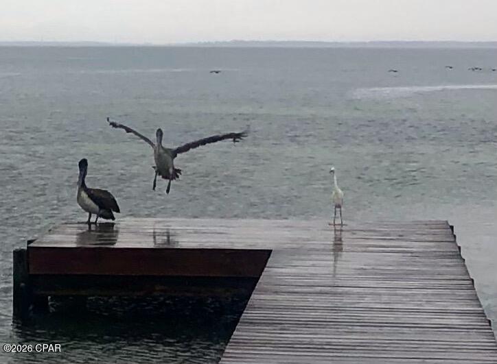 Image 54 For 6422 Highway 98  1403