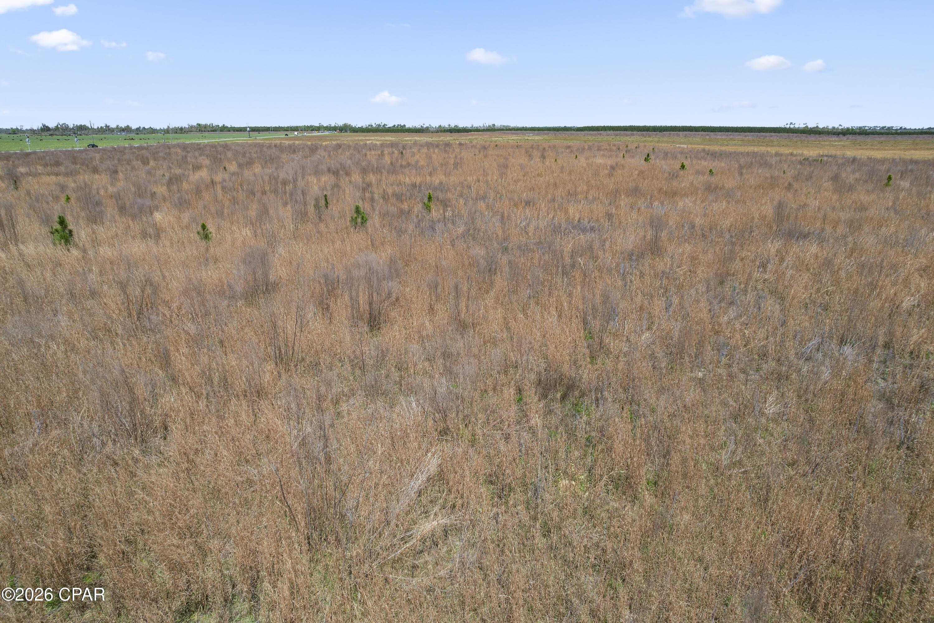 Image 9 For 00 Sr 71  