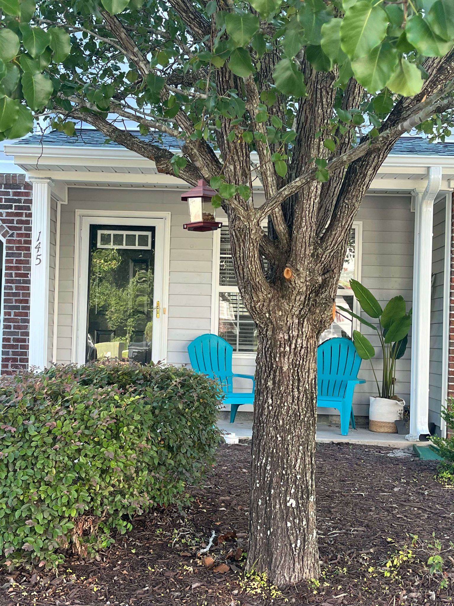 145 Wimbledon Way Murrells Inlet, SC 29576