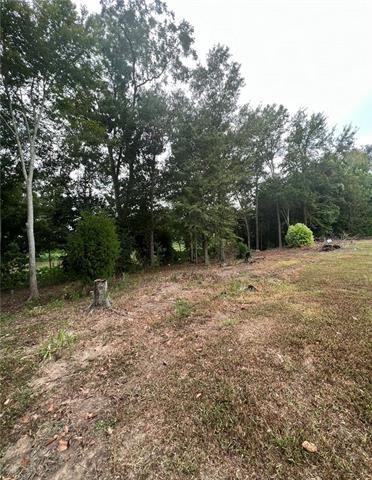 Homes for sale in Labadieville, LA | 2875 Hwy 308, Labadieville, LA 70372 | MLS# 2550423