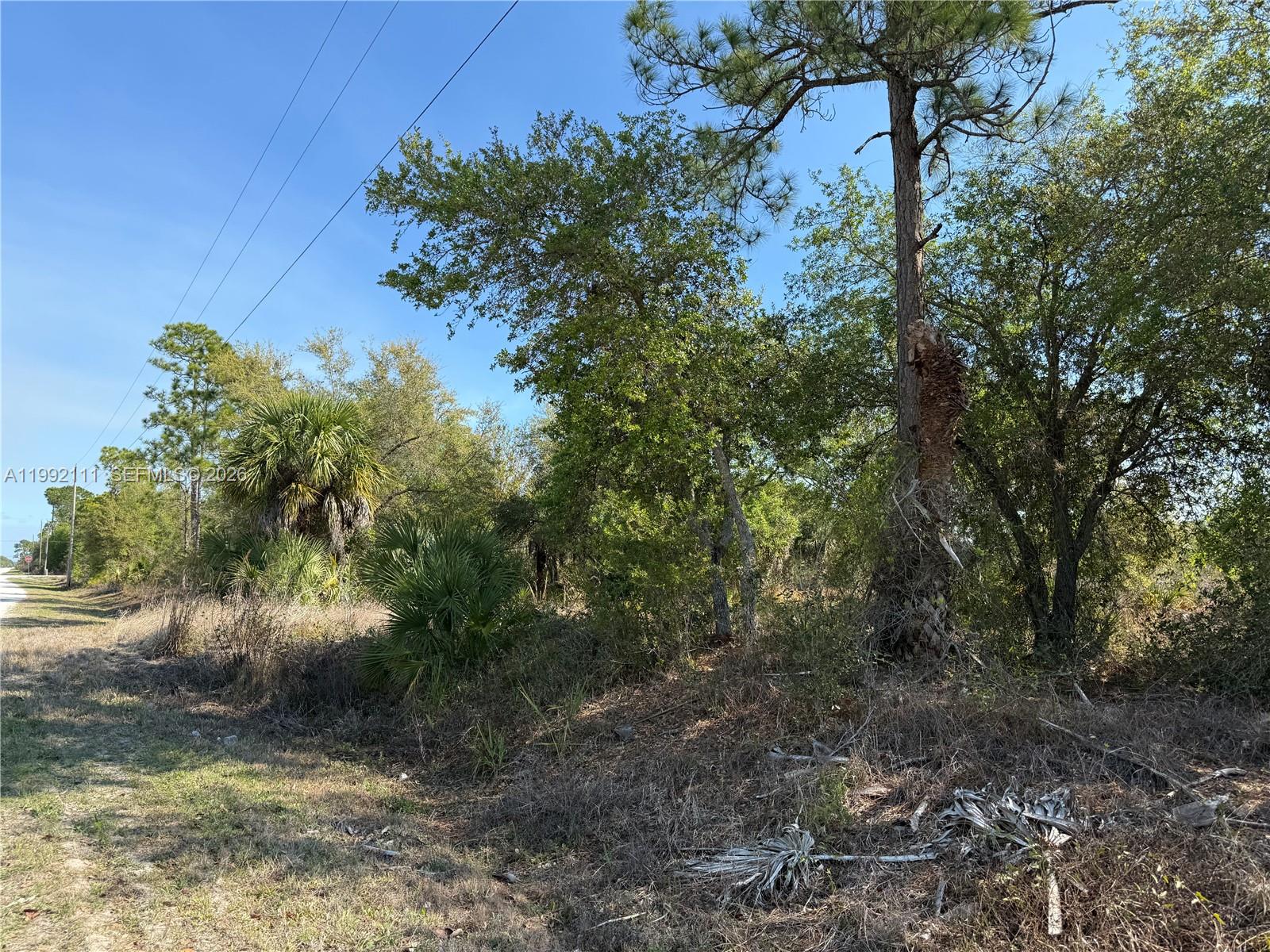 Montura Ranch Estates