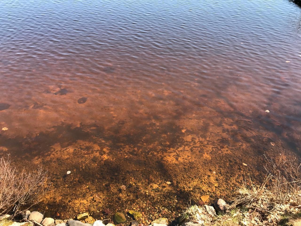 Catfish Lake Property 1146 Catfish Lake Rd Photo 5