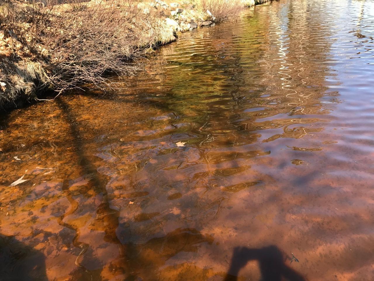 Catfish Lake Property 1146 Catfish Lake Rd Photo 9