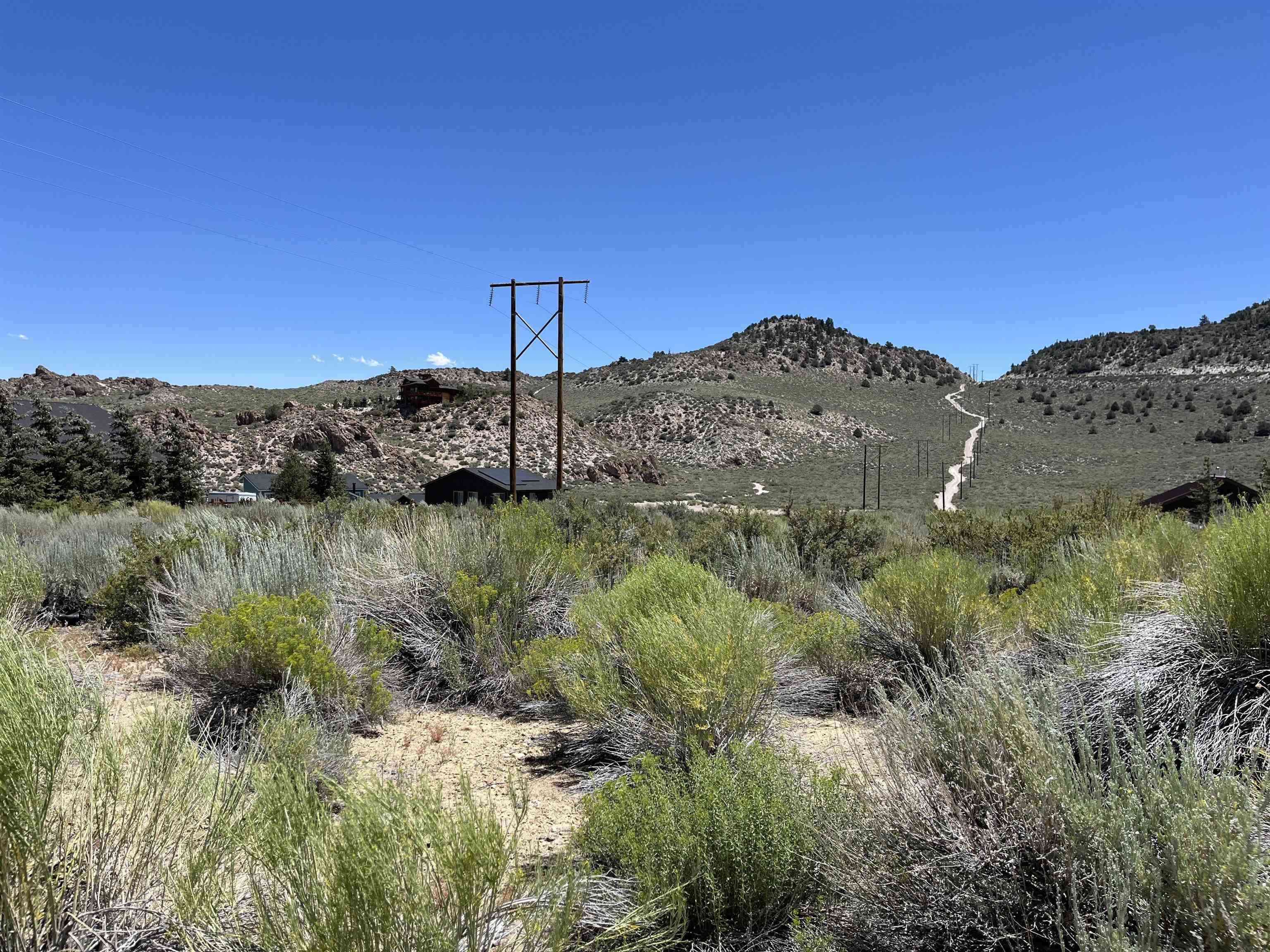 118 Larkspur Lane