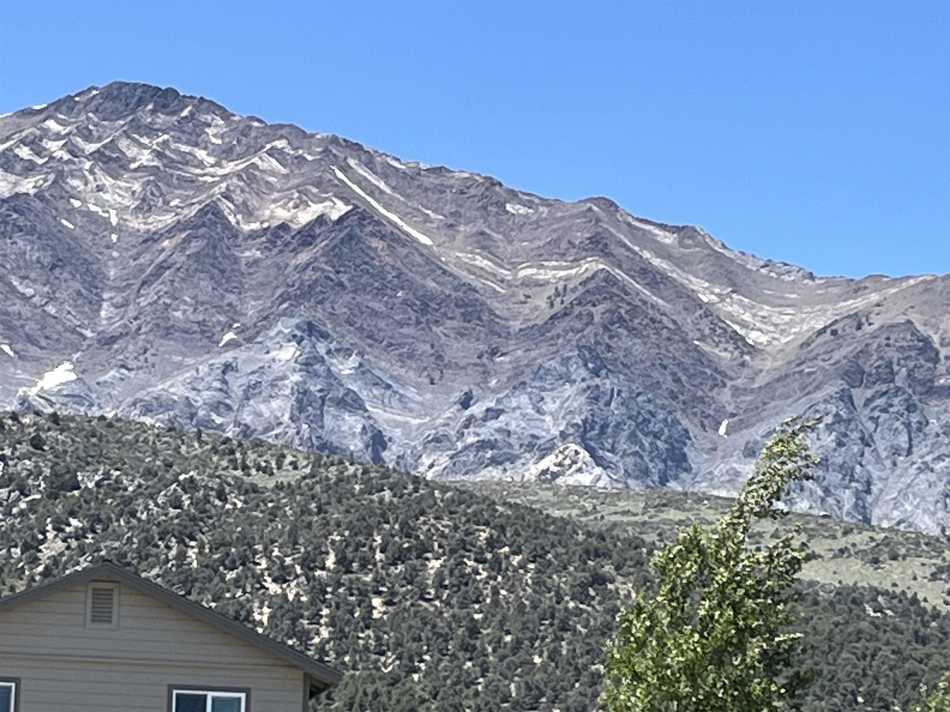 118 Larkspur Lane