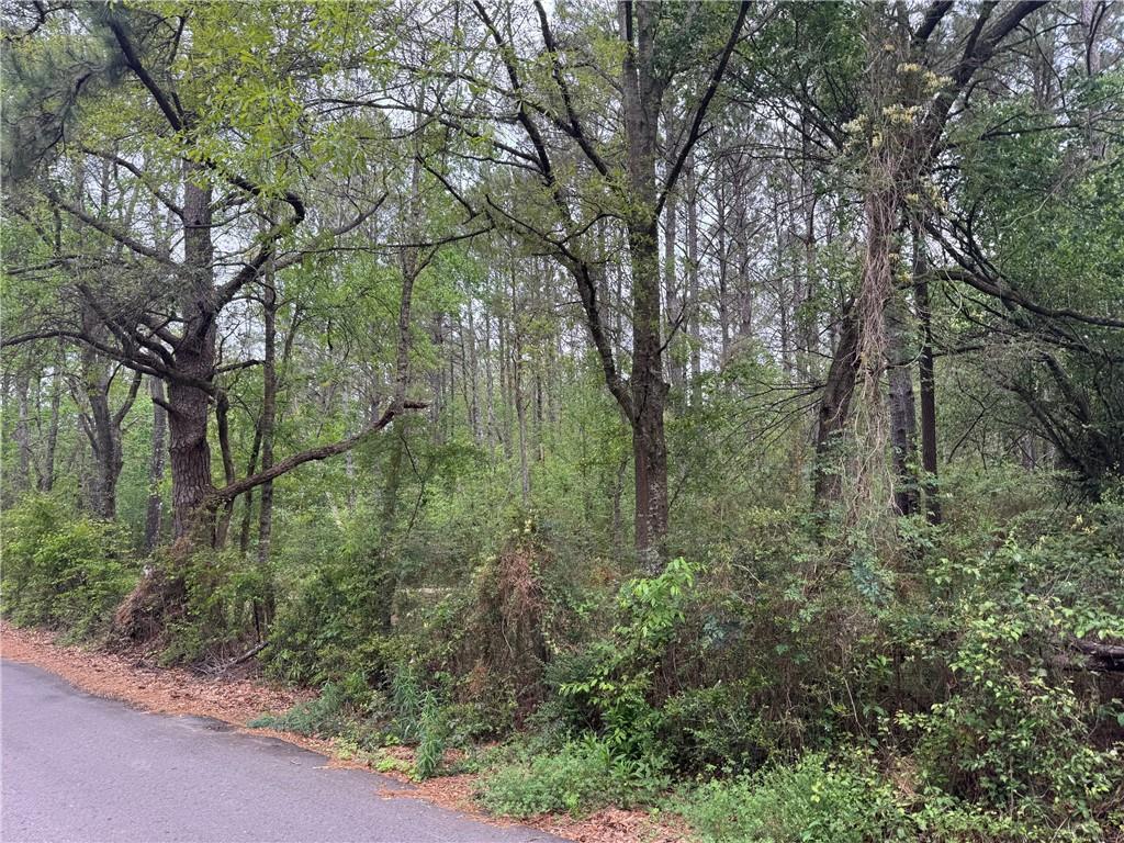 Homes for sale in Covington, LA | 0 Pine Hollow Rd, Covington, LA 70435 | MLS# 2550351
