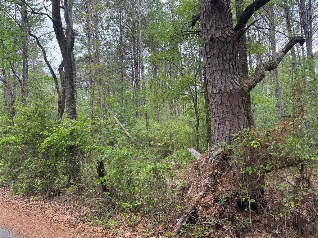 Homes for sale in Covington, LA | 0 Pine Hollow Rd, Covington, LA 70435 | MLS# 2550351