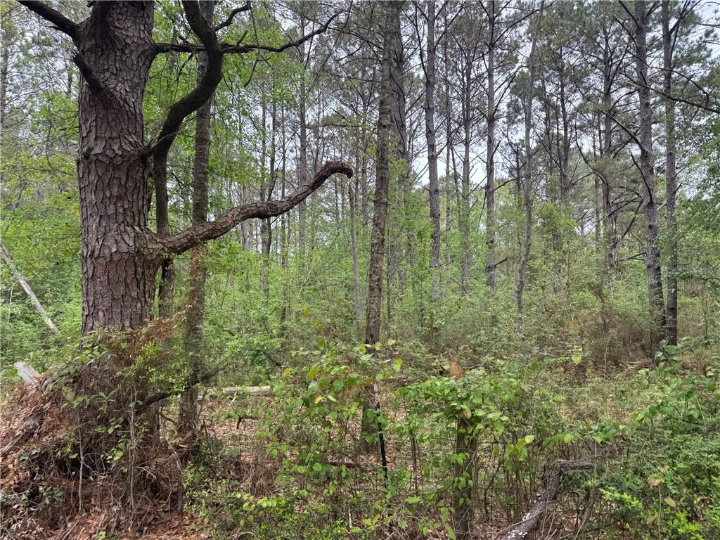 Homes for sale in Covington, LA | 0 Pine Hollow Rd, Covington, LA 70435 | MLS# 2550351