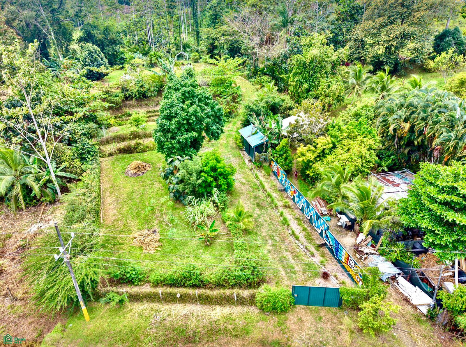  bed Land For Sale in Talamanca, Limon - 1
