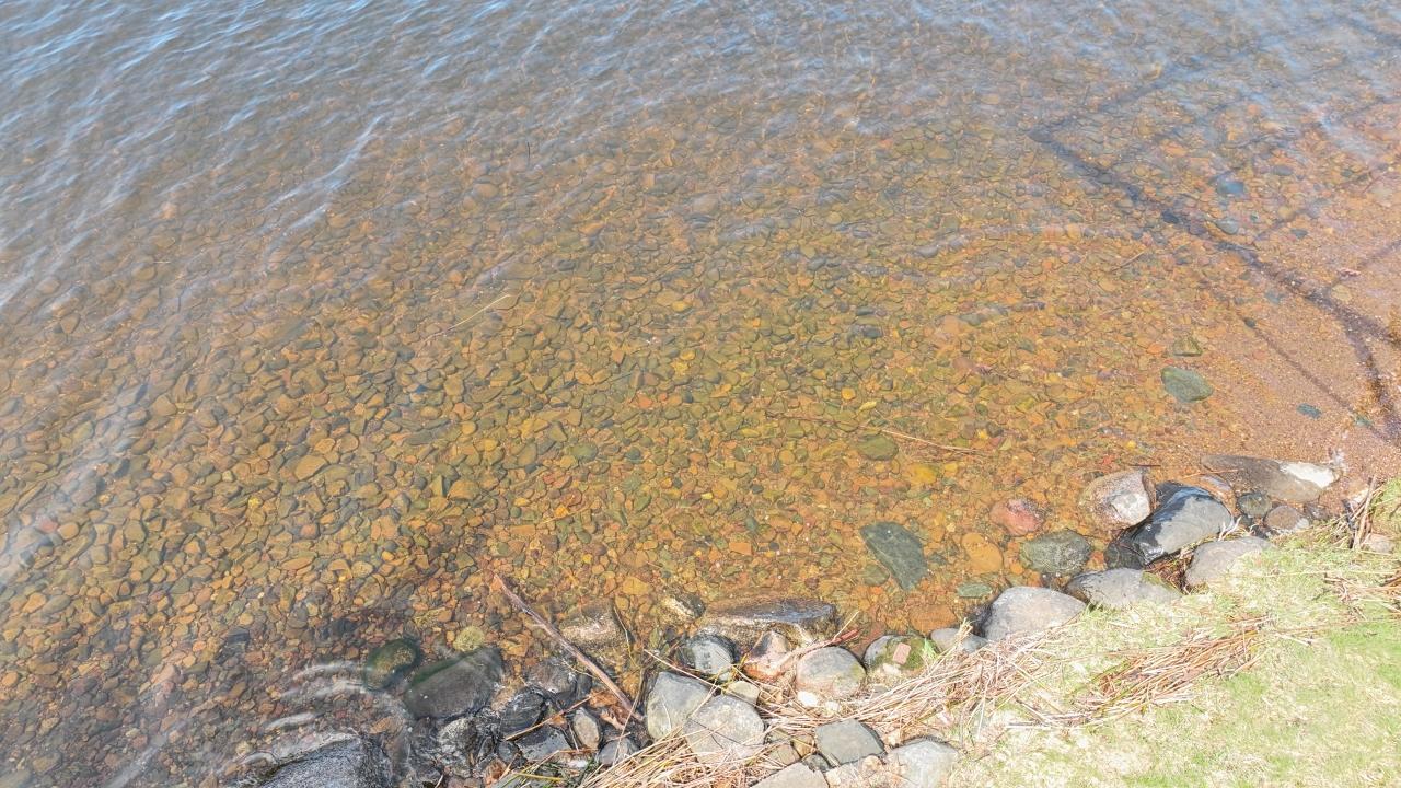 Pelican Lake Property 701-703 Hwy 45 Photo 6