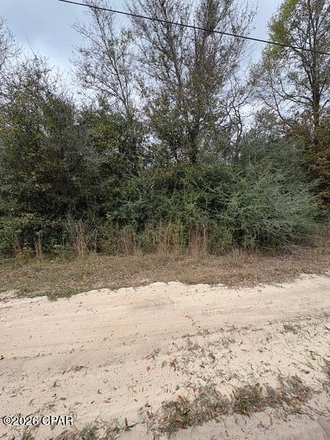 Details for Na Pecan Shadows Drive, Youngstown, FL 32466