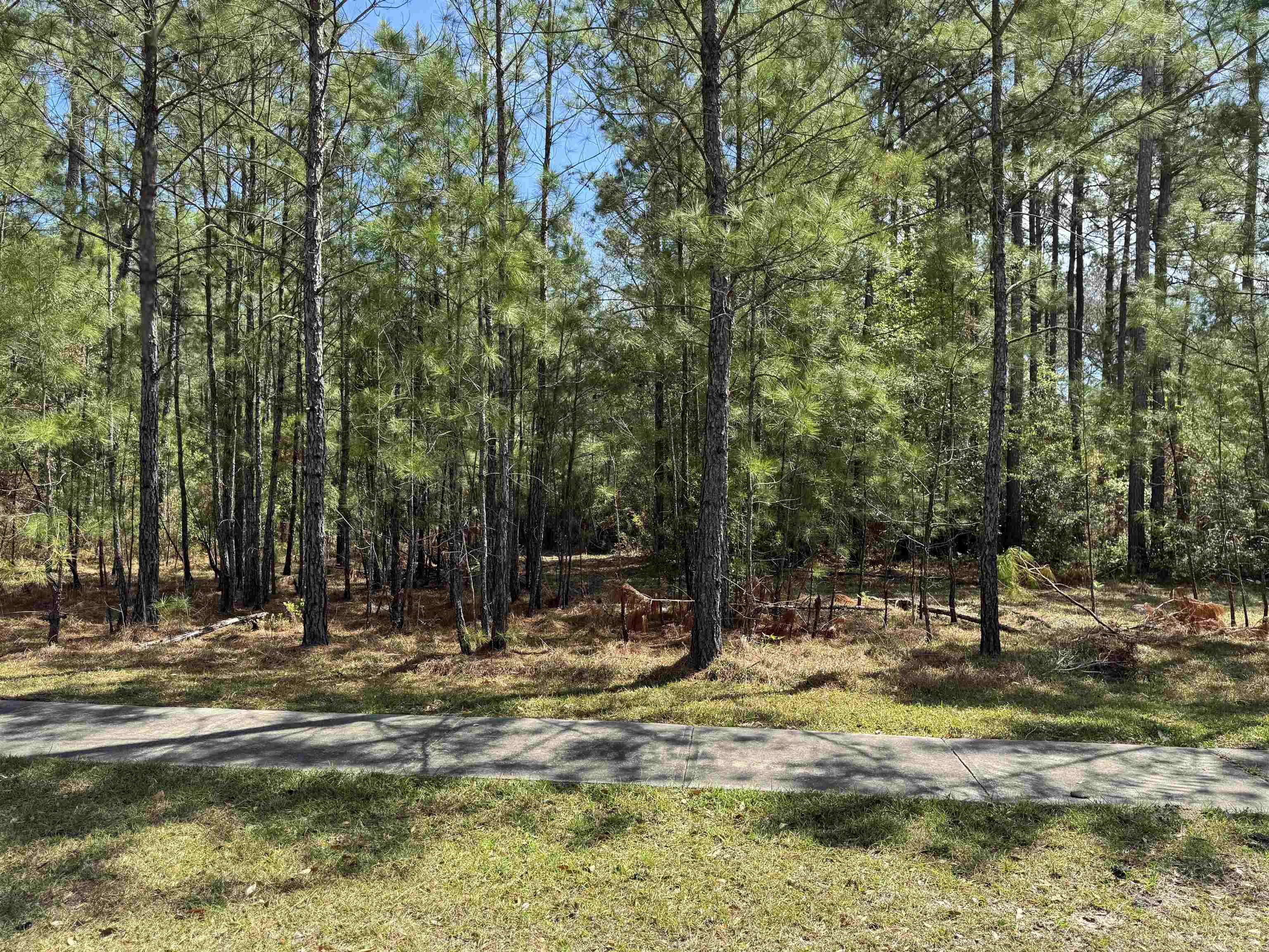 113 Pineberry Dr. Georgetown, SC 29440