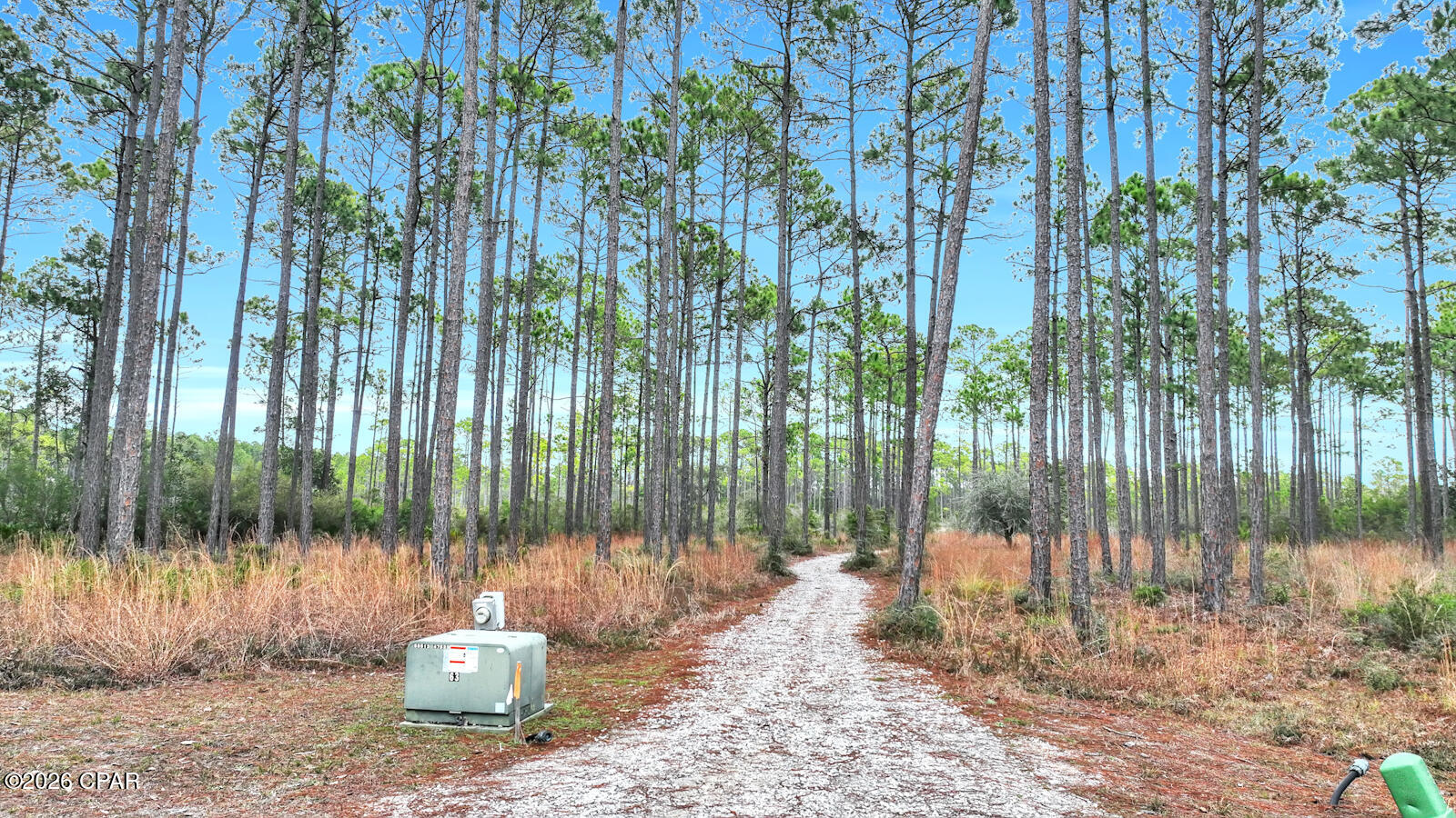 Image 4 For 6400 Sundew Marsh Trail