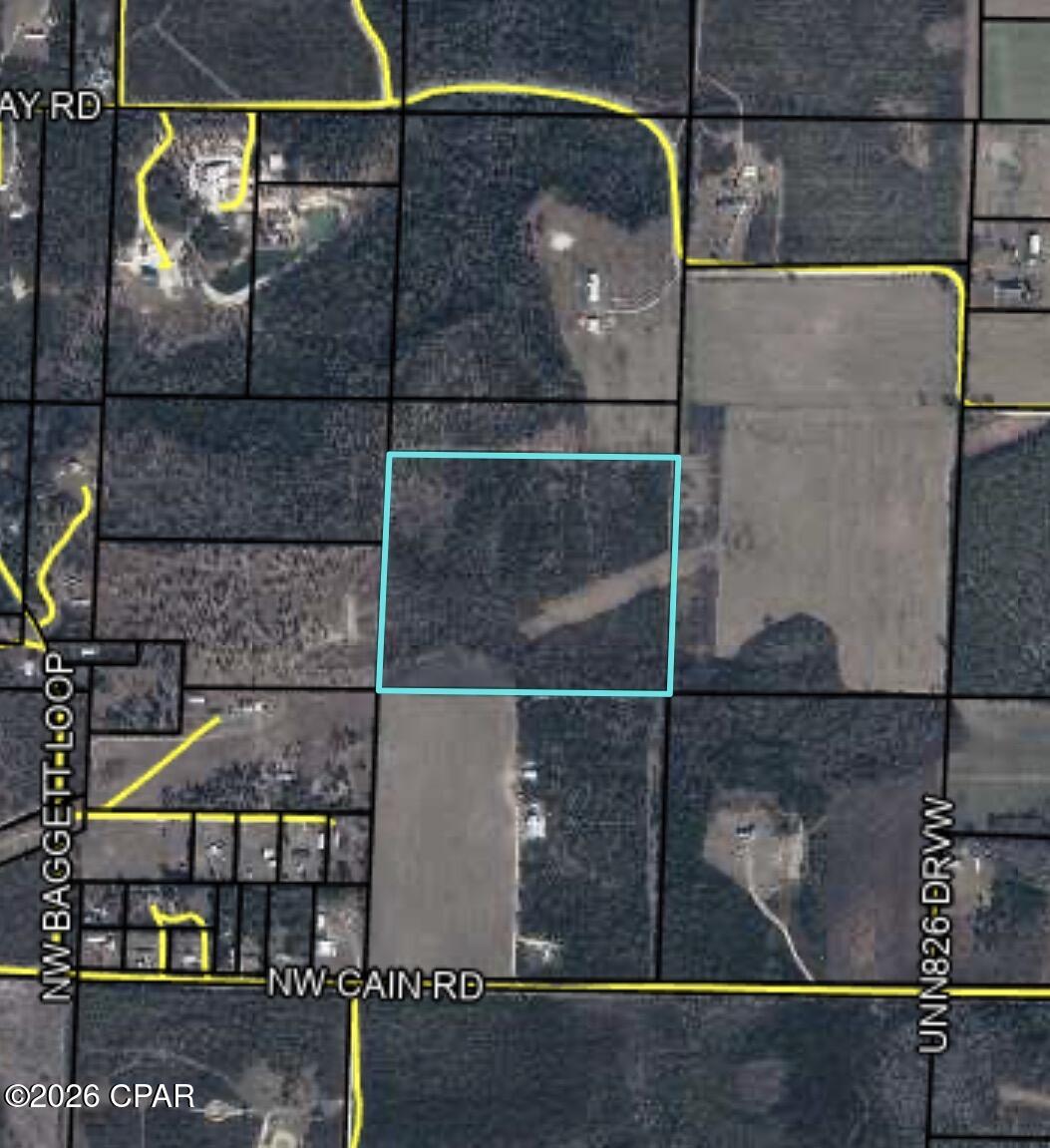 Listing Details for 32.5 Acres Gray Road, Clarksville, FL 32430