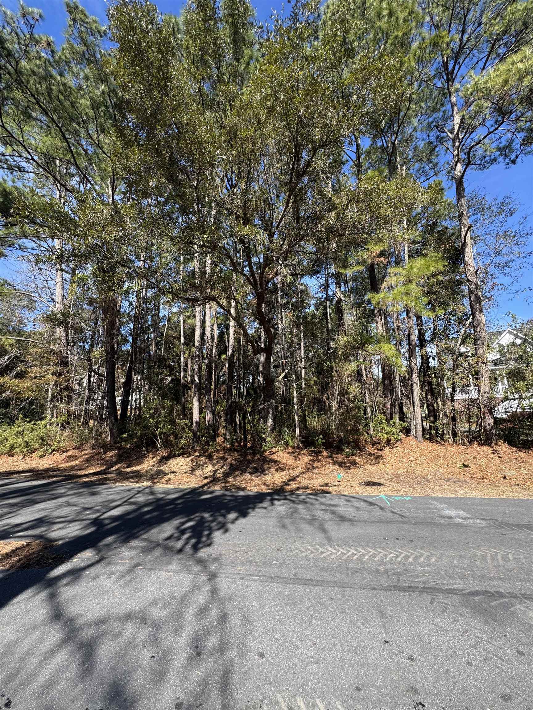 Lot 79 Brandon Way Georgetown, SC 29440