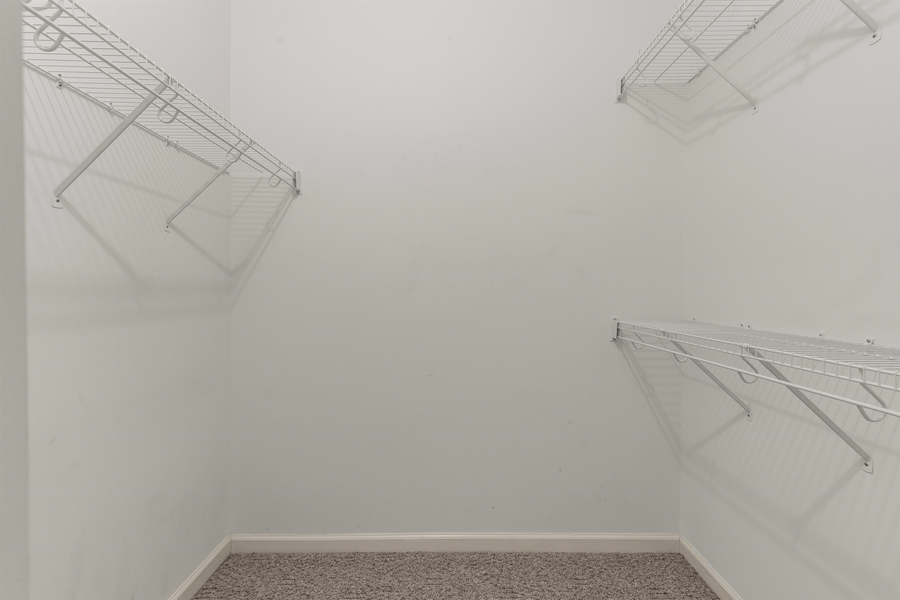 2608597 | Photo 17