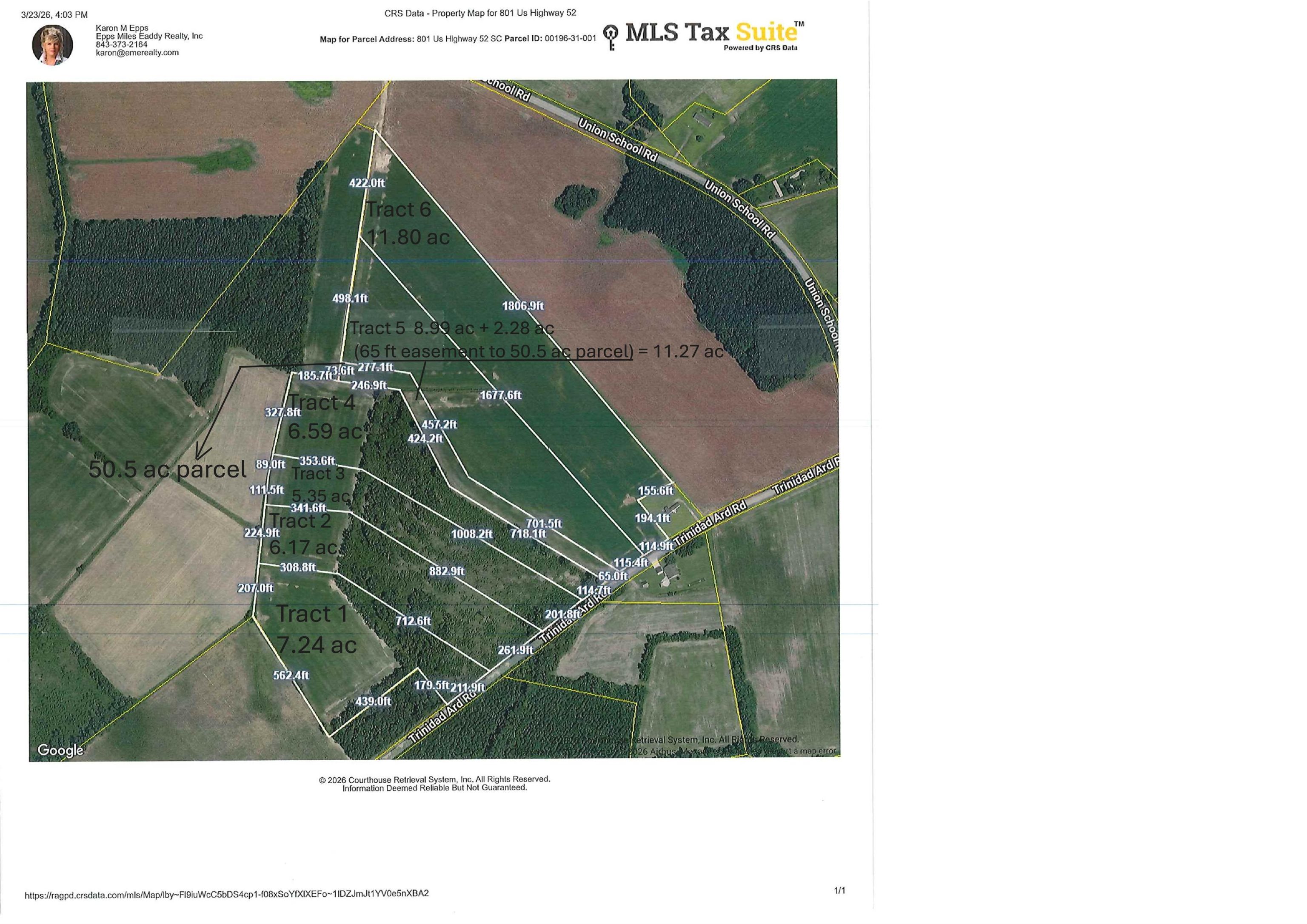 TBD Tract Trinidad Ard Rd Coward, SC 29530