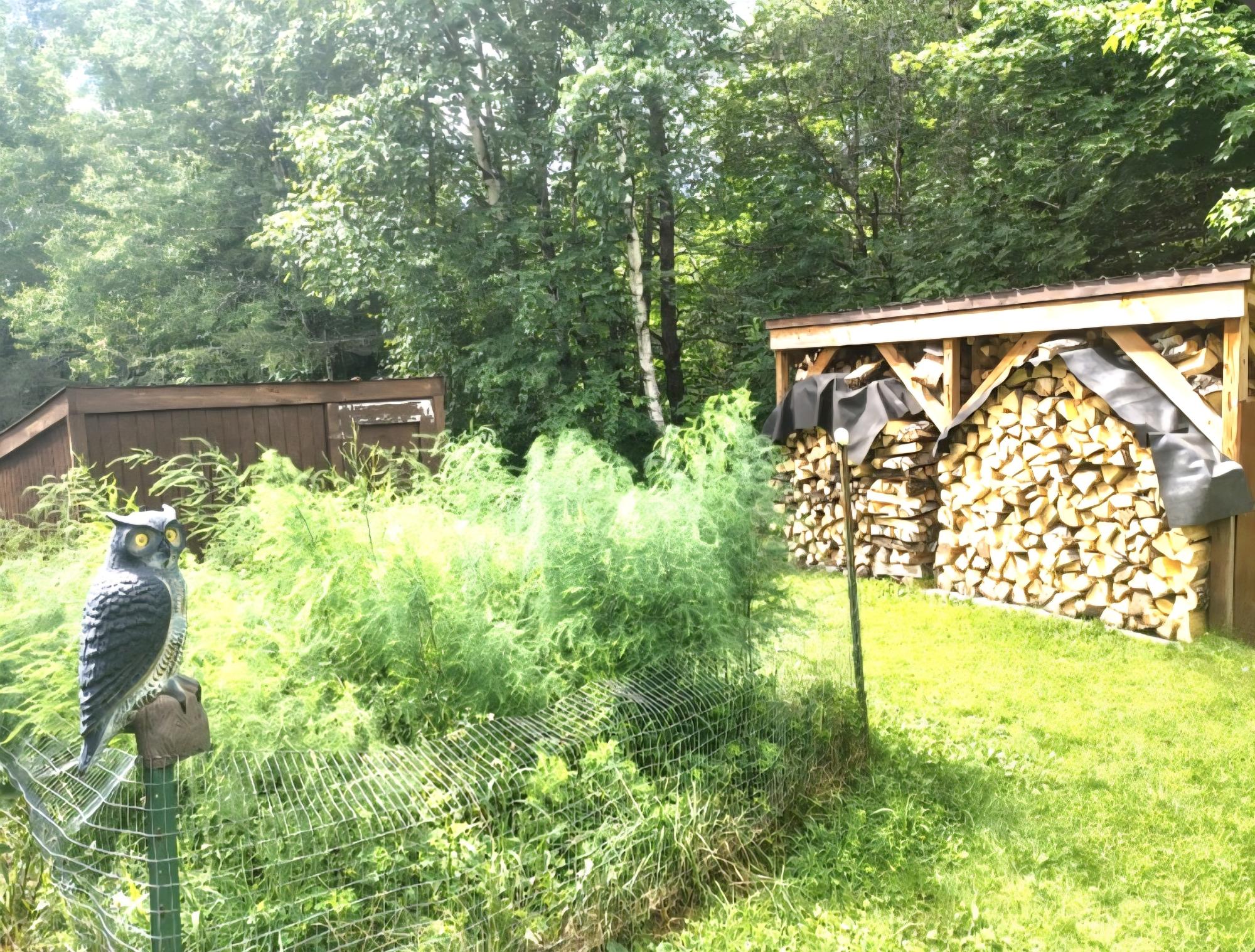 Boot Lake MW Property 11875 Thoma Dr Photo 13