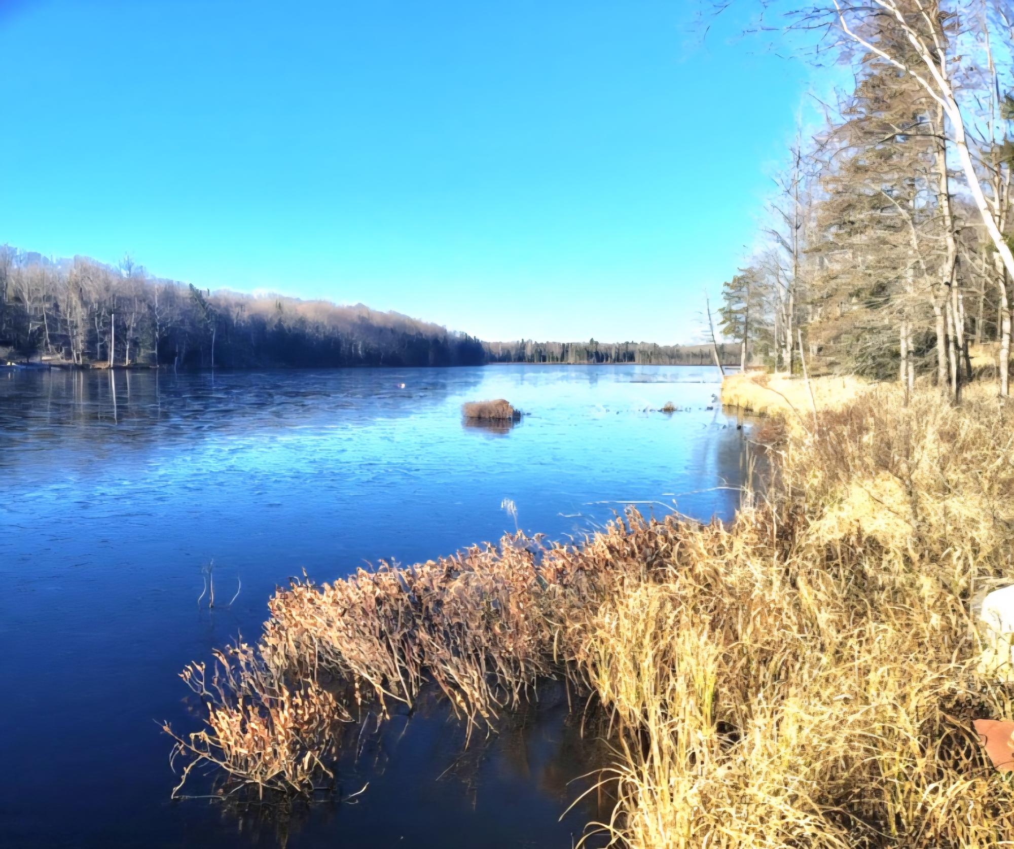 Boot Lake MW Property 11875 Thoma Dr Photo 3