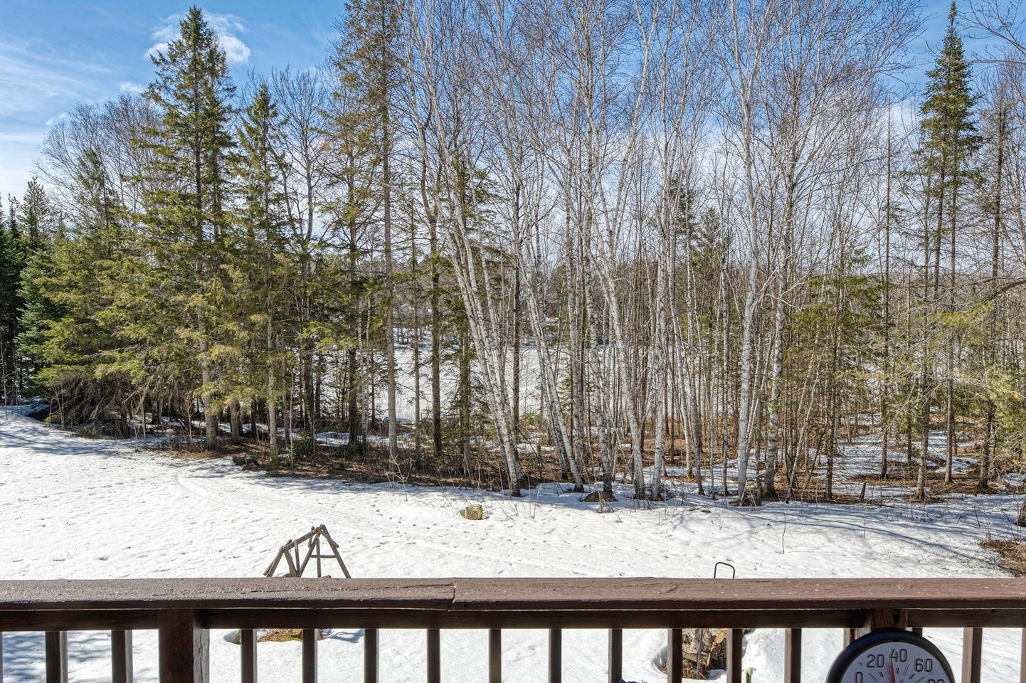 Boot Lake MW Property 11875 Thoma Dr Photo 43