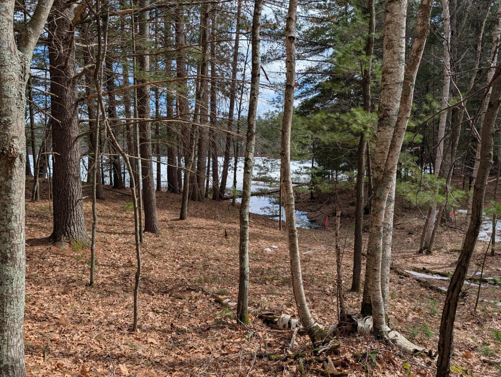 Patricia Lake Property 10228 Falcon Ridge Rd Photo 39