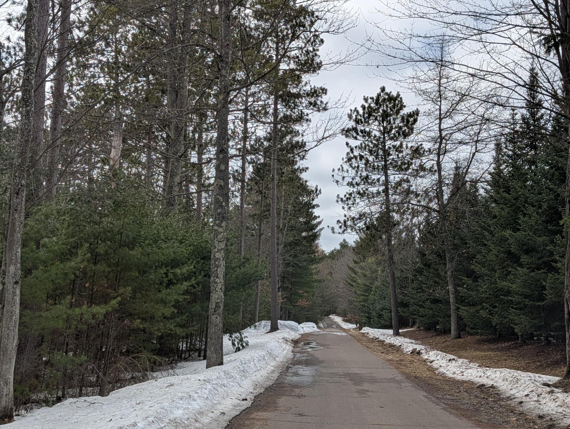 Patricia Lake Property 10228 Falcon Ridge Rd Photo 41