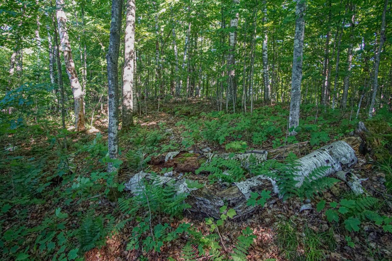 Harris Lake Property Lot 1 Village Point Ln Photo 11