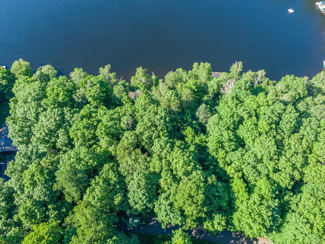 Harris Lake Property Lot 1 Village Point Ln Photo 12