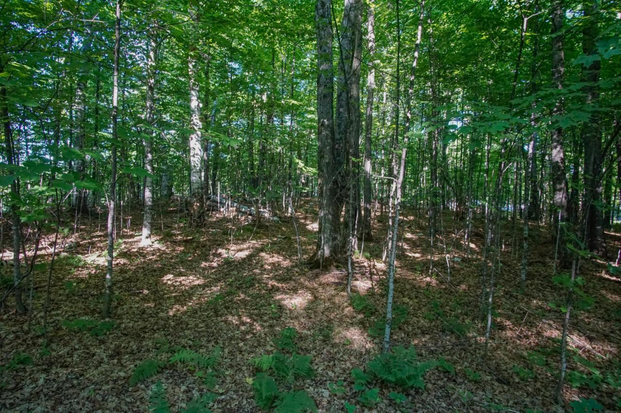 Harris Lake Property Lot 1 Village Point Ln Photo 6