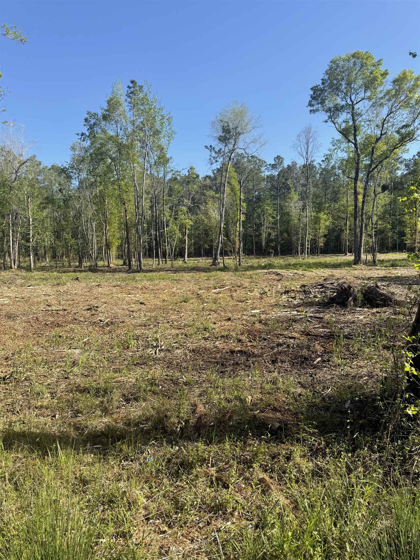 TBD Pauley Swamp Rd. Conway, SC 29527