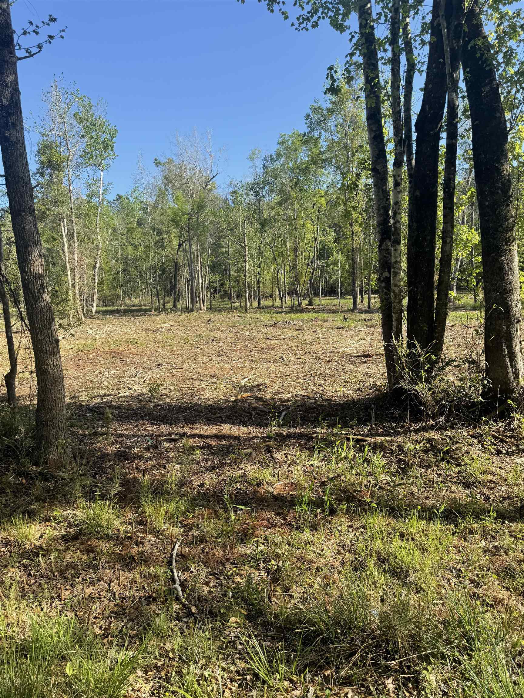 TBD Pauley Swamp Rd. Conway, SC 29527