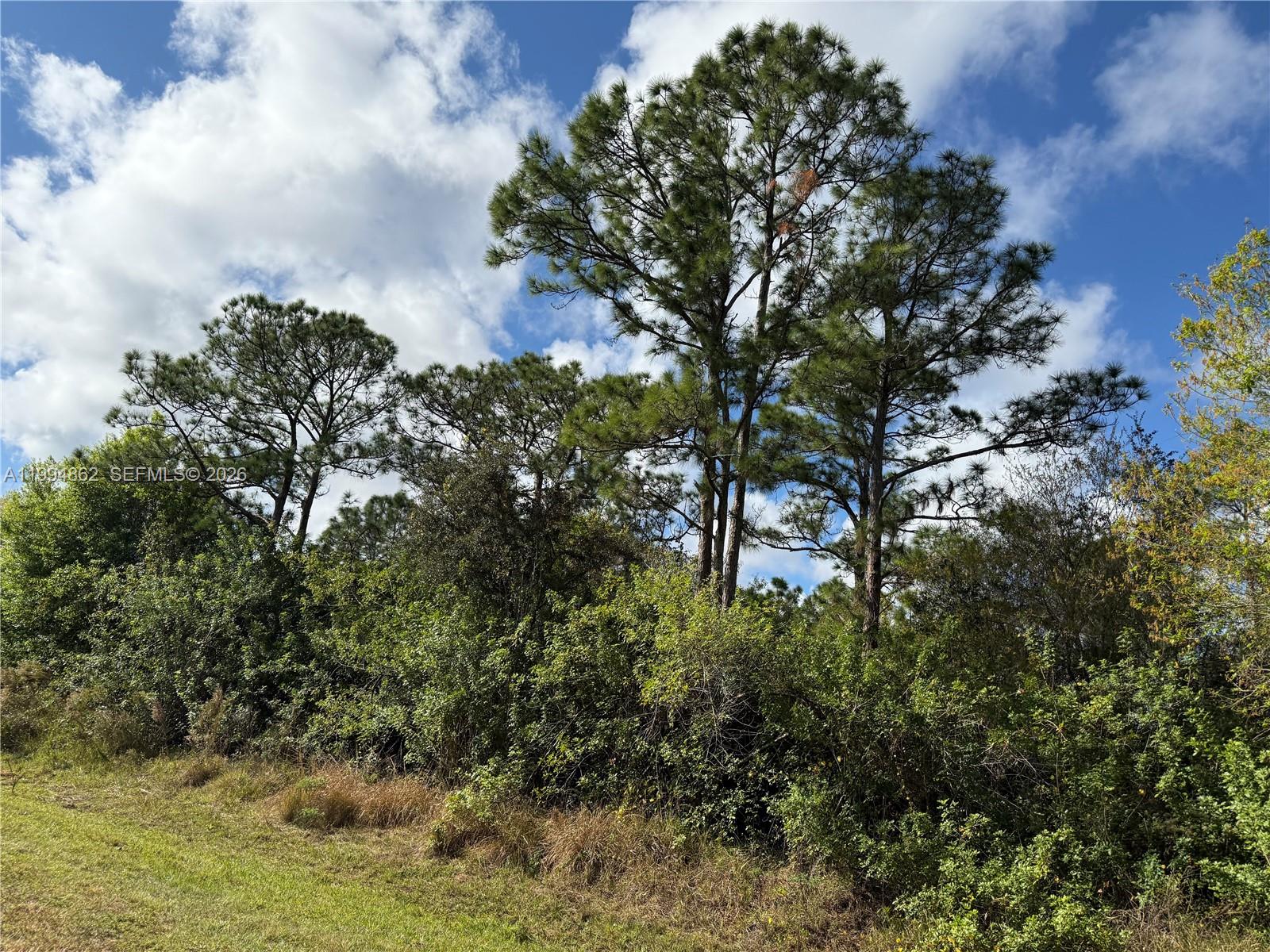 Montura Ranch Estates