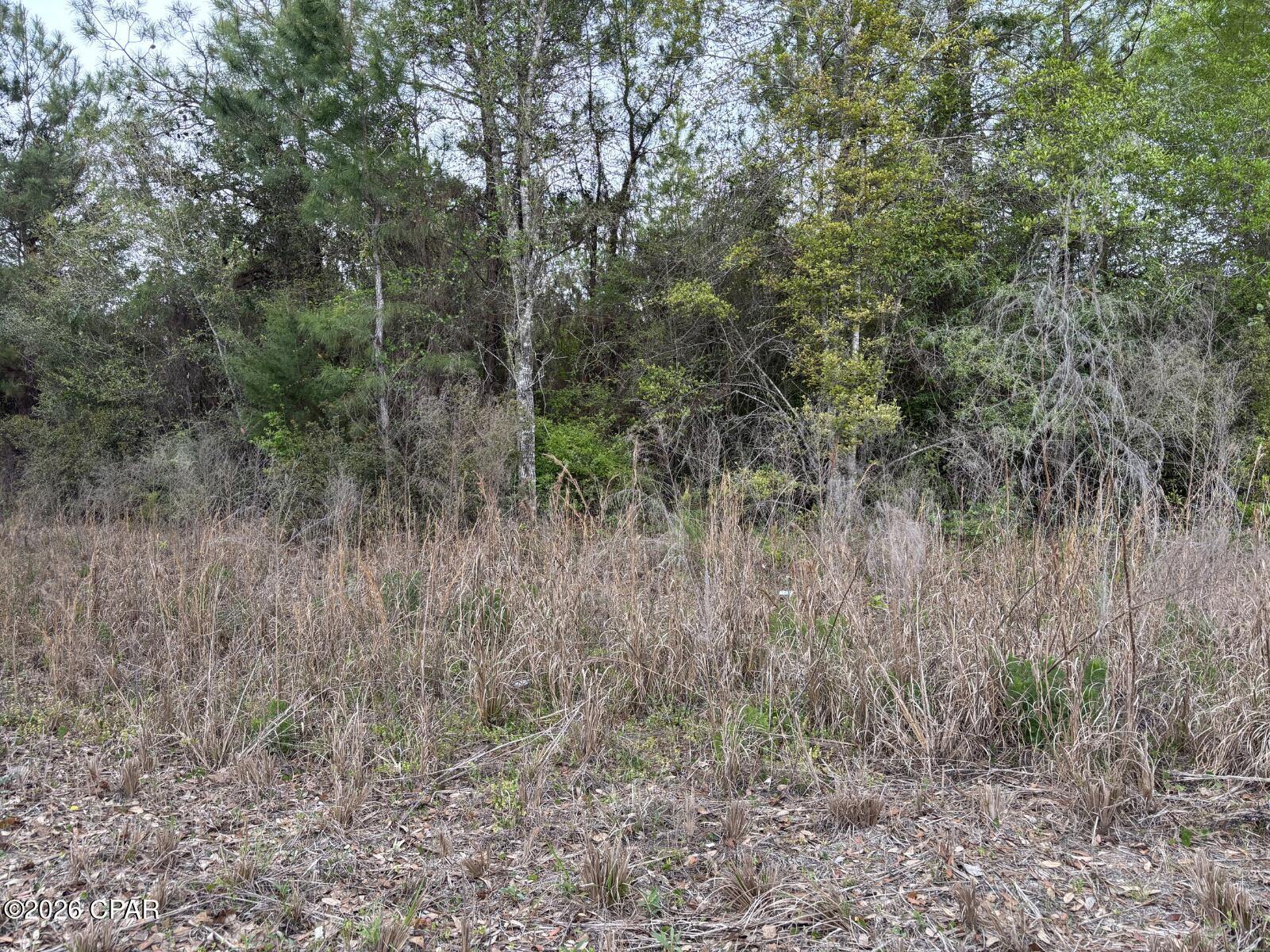 Image 3 For X Cook Road 