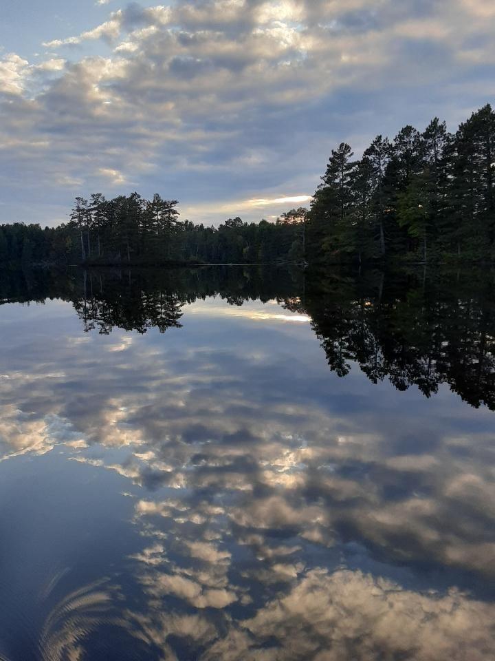 Ross Allen Lake Property 14903 Chequamegon Forest Tr Photo 11