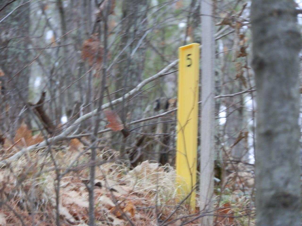 Ross Allen Lake Property 14903 Chequamegon Forest Tr Photo 15