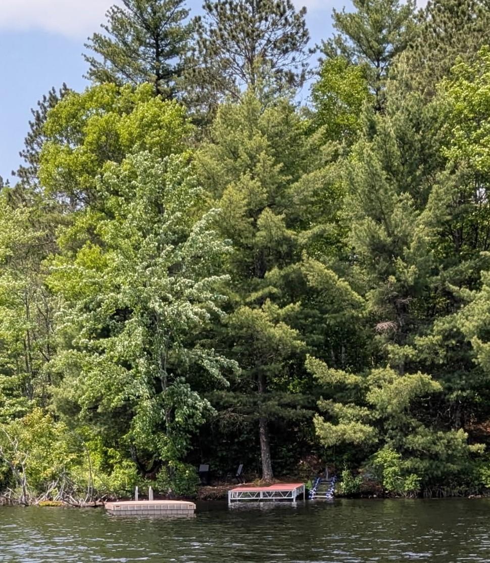 Ross Allen Lake Property 14903 Chequamegon Forest Tr Photo 2