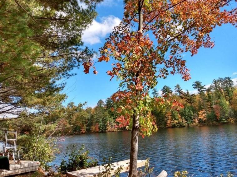 Ross Allen Lake Property 14903 Chequamegon Forest Tr Photo 6