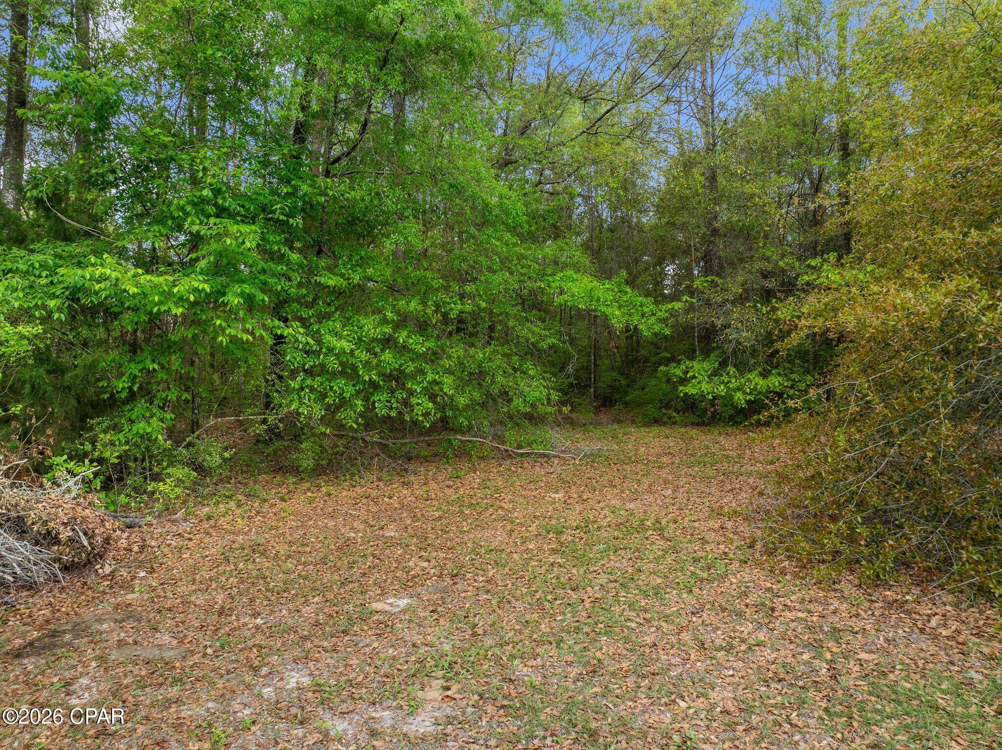 Image 24 For 0000 Marian Drive