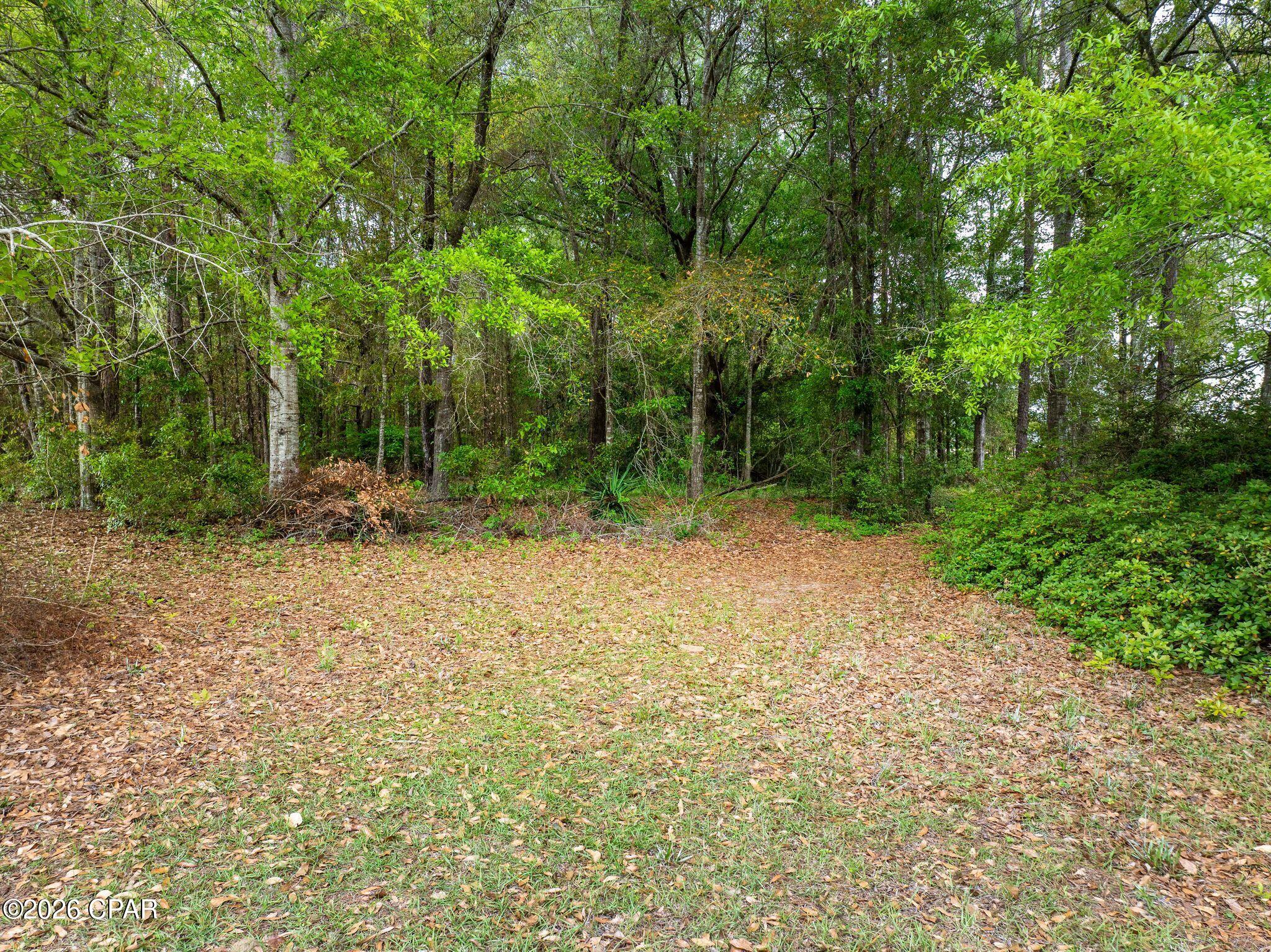 Image 79 For 2694 Marian Drive