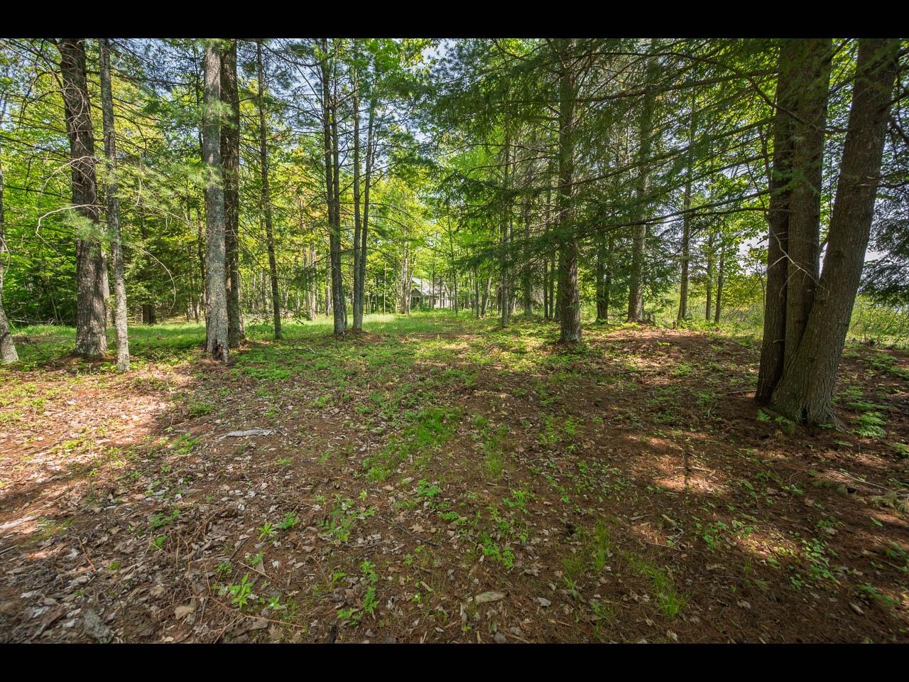 Clearwater Lake Property Lot 13 Memory Ln Photo 10