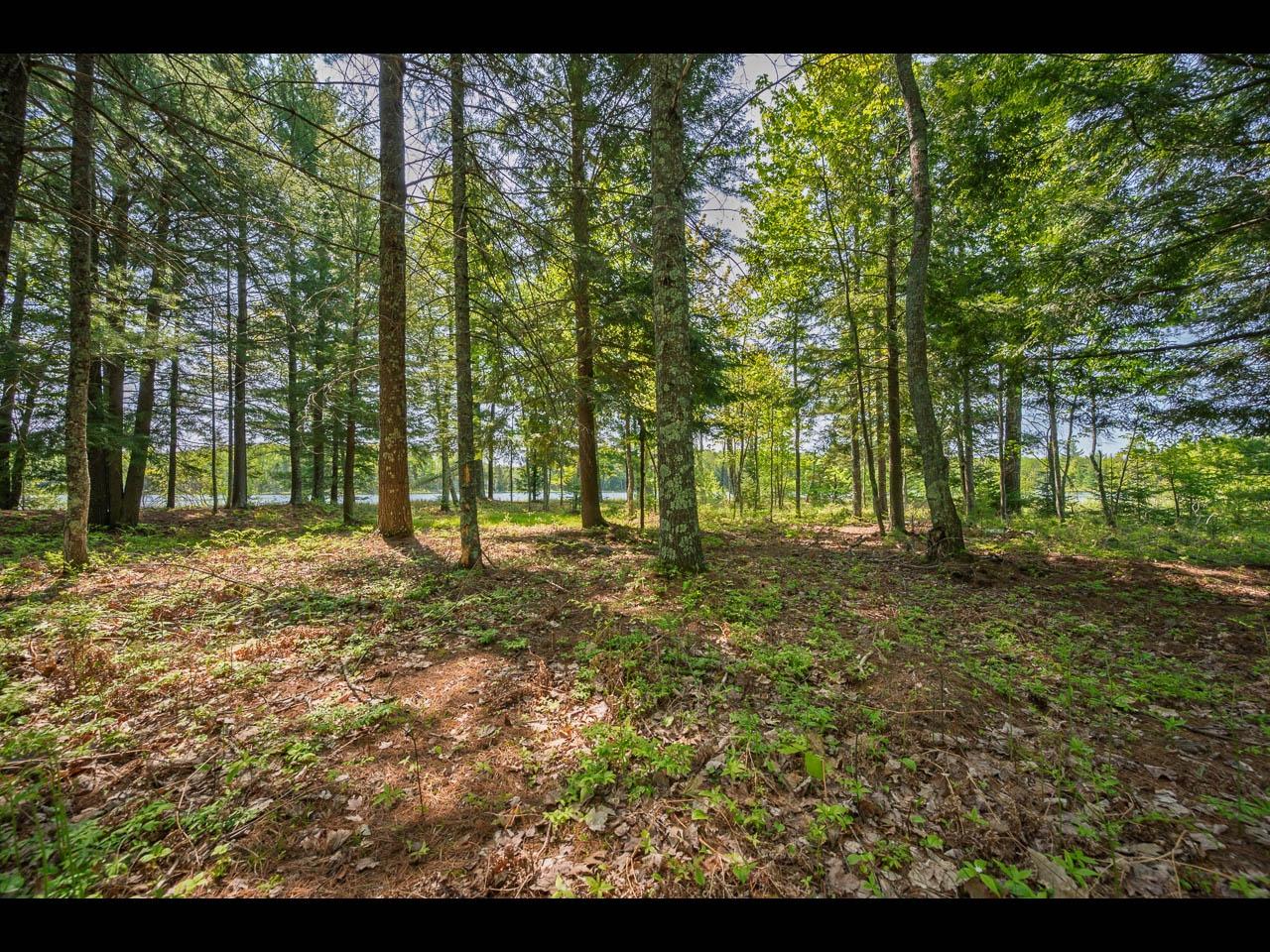 Clearwater Lake Property Lot 13 Memory Ln Photo 11