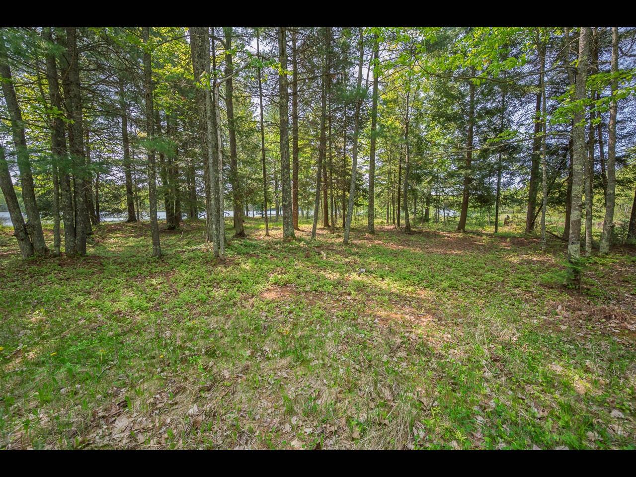 Clearwater Lake Property Lot 13 Memory Ln Photo 12