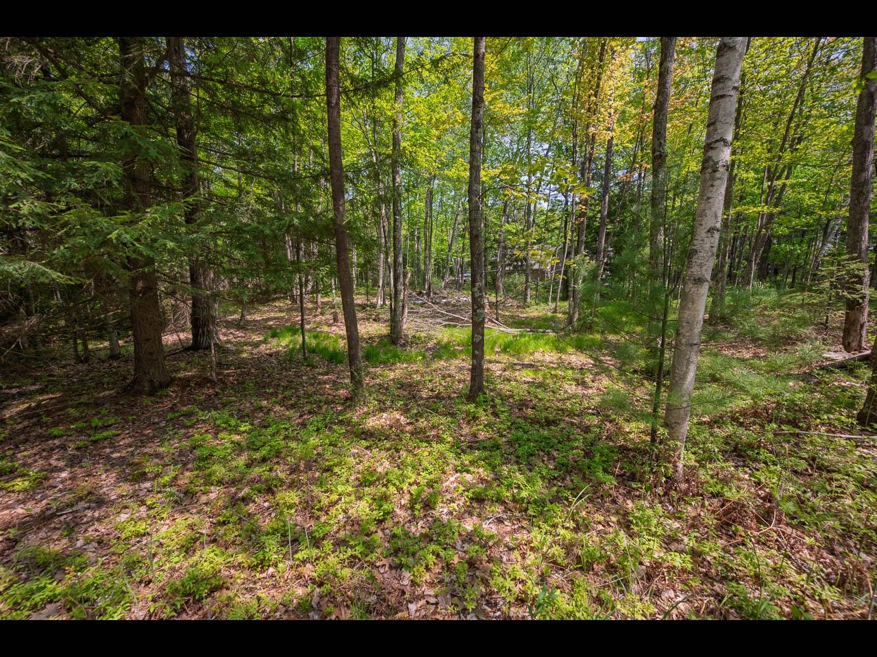 Clearwater Lake Property Lot 13 Memory Ln Photo 14