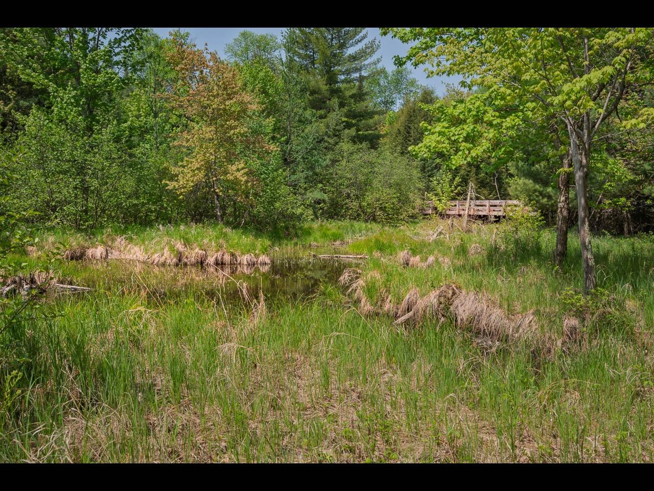 Clearwater Lake Property Lot 13 Memory Ln Photo 18