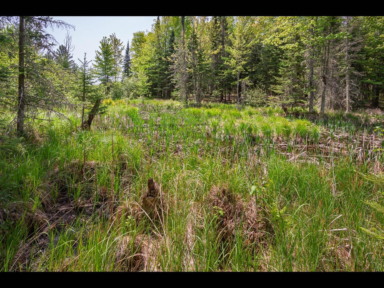 Clearwater Lake Property Lot 13 Memory Ln Photo 22